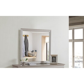 Glory Furniture Lorana G6500-M Mirror, Silver Champagne B078118416