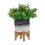Ceramic 5" Planter On Wooden Stand, Gray B079106833