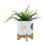 S/2 5/8" FUNKY PLANTER w/ STAND, WHITE B079106899