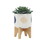 S/2 5/8" FUNKY PLANTER w/ STAND, WHITE B079106899