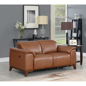 High-Leg Dual-Power Reclining Loveseat - Coach Colored Leather, Padded Armrests B081109552