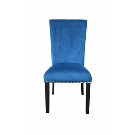 Camila - Velvet Dining Chair (Set of 2) - Blue