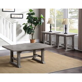 Whitford - 3 Piece Table Set (End & Coffee Tables) - Gray