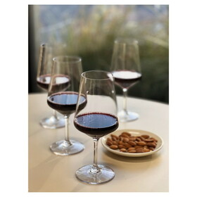 Designer Tritan Lexington Clear Wine Glasses Set of 4 (19oz), Premium Quality Unbreakable Stemmed Acrylic Wine Glasses for All Purpose Red or White Wine B095120363