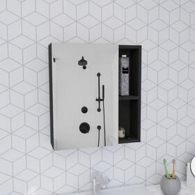 DEPOT E-SHOP Andes Medicine Single Door Cabinet with Mirror, Five Interior Shelves, Black B097132884
