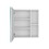 DEPOT E-SHOP Andes Medicine Single Door Cabinet with Mirror, Five Interior Shelves, White B097132886
