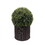 20" Ball Topiary in Woven Pot, Artificial Faux Plant for indoor and outdoor B111139225