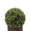 2 Pack 20" Ball Topiaries In Included Woven Pots Artificial Faux Plants B111S00001