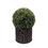 2 Pack 20" Ball Topiaries In Included Woven Pots Artificial Faux Plants B111S00001