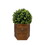 2 Pack 24" Ball Topiaries In Included Redwood Pots Artificial Faux Plants B111S00002