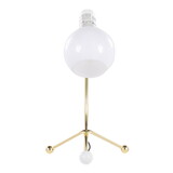 Eileen Contemporary Task Lamp in Gold Metal and White Plastic Shade by LumiSource B116135714