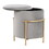 Rhonda Glam Storage Ottoman in Gold Metal and Silver Velvet by LumiSource B116135834