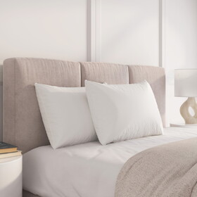 Dream Big Twin Pack Bed Pillows B123P302097