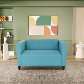 Teal Loveseat Sofa for Living Room, Modern D&#233;cor Love Seat Mini Small Couches for Small Spaces and Bedroom with Solid Wood Frame (Polyester Nylon) B124142449