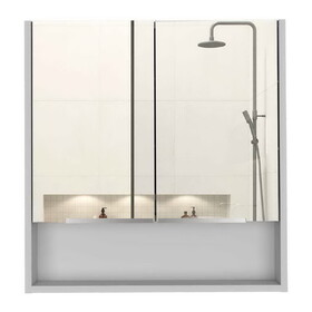 Ozark 24" Medicine Cabinet with Mirror, One Shelf B128P148782