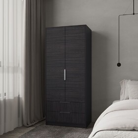 Forest 2 Door Wardrobe with Hanging Rod and 2 Drawers, Wengue B128S00176
