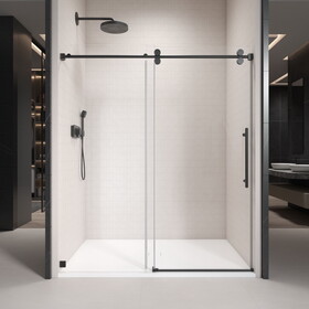 44" - 48" W x 76" H Single Sliding Frameless Shower Door with 3/8 inch (10mm) Clear Glass in Matte Black P-B133P156502