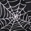 Spiderweb 3 Foot Holloween Bean Bag, Black and White B181P163049