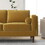 Amber Luxury Modern Velvet Sofa B183P167218