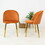 Marion Mid Century Modern Dining Chair (Set of 2) B183P201682