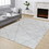 Loft Shag GC_CZY1004 Ivory 5 ft. 3 in. x 7 ft. Shaggy Area Rug B186P181103