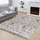 Loft Shag GC_CZY1008 Multi 5 ft. 3 in. x 7 ft. Shaggy Area Rug B186P181111