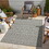 Sunshine GC_HAR2021 Silver 2 ft. 7 in. x 7 ft. 3 in. Indoor/Outdoor Area Rug B186P198915