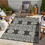 Sunshine GC_HAR2023 Anthracite 2 ft. 7 in. x 7 ft. 3 in. Indoor/Outdoor Area Rug B186P198921