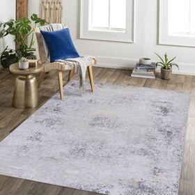 Naar 3x5 Area Rug, Washable Rug, Low-Pile, Non-Slip, Non-Shedding, Foldable, Kid & Pet Friendly - Area Rugs for living room, bedroom, kitchen, dining room rug - Perfect Gifts, (Gray/Gold, 3' x 5')