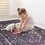 Naar 3x5 Area Rug, Washable Rug, Low-Pile, Non-Slip, Non-Shedding, Foldable, Kid & Pet Friendly - Area Rugs for living room, bedroom, kitchen, dining room rug - Perfect Gifts, (Black+Burgundy, 3x 5)