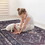 Naar Area Rug 5x8, Washable Rug, Low-Pile, Non-Slip, Non-Shedding, Foldable, Kid & Pet Friendly - Area Rugs, Wedding Gift, (Black+Burgundy, 5' x 8') B189P188998