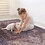 Naar 5x8 Area Rugs for Living Room, Washable Rug, Low-Pile, Non-Slip, Non-Shedding, Foldable, Kid & Pet Friendly - Area Rugs for living room, bedroom, kitchen, dining room rug, (Burgundy, 5'x8')