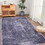 Naar Area Rug 4x6, Washable Rug, Low-Pile, Non-Slip, Non-Shedding, Foldable, Kid & Pet Friendly - Area Rugs for living room, bedroom, kitchen, dining room rug - Perfect Gifts, (Anthracite, 4' x 6')