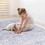 Naar Area Rug, Washable Rug, Low-Pile, Non-Slip, Non-Shedding, Foldable, Kid & Pet Friendly - Area Rugs for living room, bedroom, kitchen, dining room rug - Perfect Gifts, (Blue+Cream, 2'6" x 10')