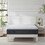 Sleeptone 12" Hybrid mattress-Twin B190P187193