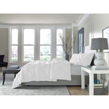 Sleeptone Tranquility® Pinch Down Alternative Comforter Set-Twin P-B190P187230