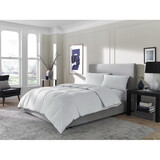 Sleeptone Tranquility® Feather and Down Comforter-Queen P-B190P187239