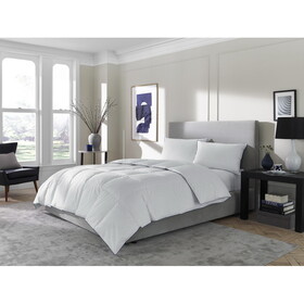 Sleeptone Tranquility&#174; Feather and Down Comforter-Queen P-B190P187239
