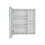 Medicine 19H" Single Door Cabinet with Mirror, Five Interior Shelves, White B200132886