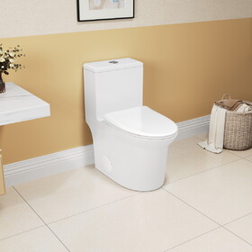 1.1/1.6 GPF Elongated Comfort Height Super Quite Flushing Floor Mounted One-Piece Toilet, CUPC Certified, WaterSense Cetified, Ceramic, White Color, Soft Close Seat B2724P246931