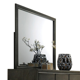 ACME Carine Gray Finish II Mirror
