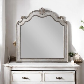 ACME Esteban Antique Champagne Finish Mirror