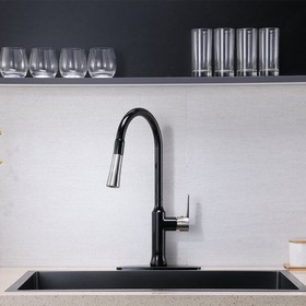 Pull Down Single Handle Kitchen Faucet with Accessories BB078MB-1
