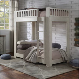 ACME Cedro T/T Bunk Bed in Weathered White Finish BD00612