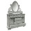 ACME Flora Jewelry Mirror, Gray Finish BD02206