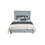 ACME Saree Queen Bed, Light Teal Chenille & Gray Finish BD02353Q
