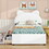 DL000590AAK White+Upholstered+Box Spring Not Required+Twin+Wood