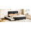 Queen Size Upholstered Platform Bed with Headboard and Twin Size Trundle, Black DL001332AAB