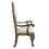 ACME Constantine Arm Chair (1pc/1CTN), PU, Brown & Gold Finish DN00479