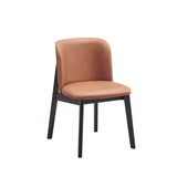 ACME Eliora Side Chair (Set-2), Camel Fabric & Black Finish DN02367